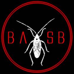logo Brandon Ashley And The Silverbugs